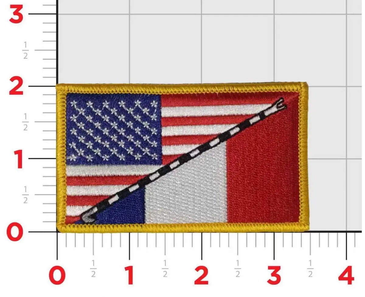 American Flag And French Flag Nas Meridian Tailhook Patch (Meridian) 1