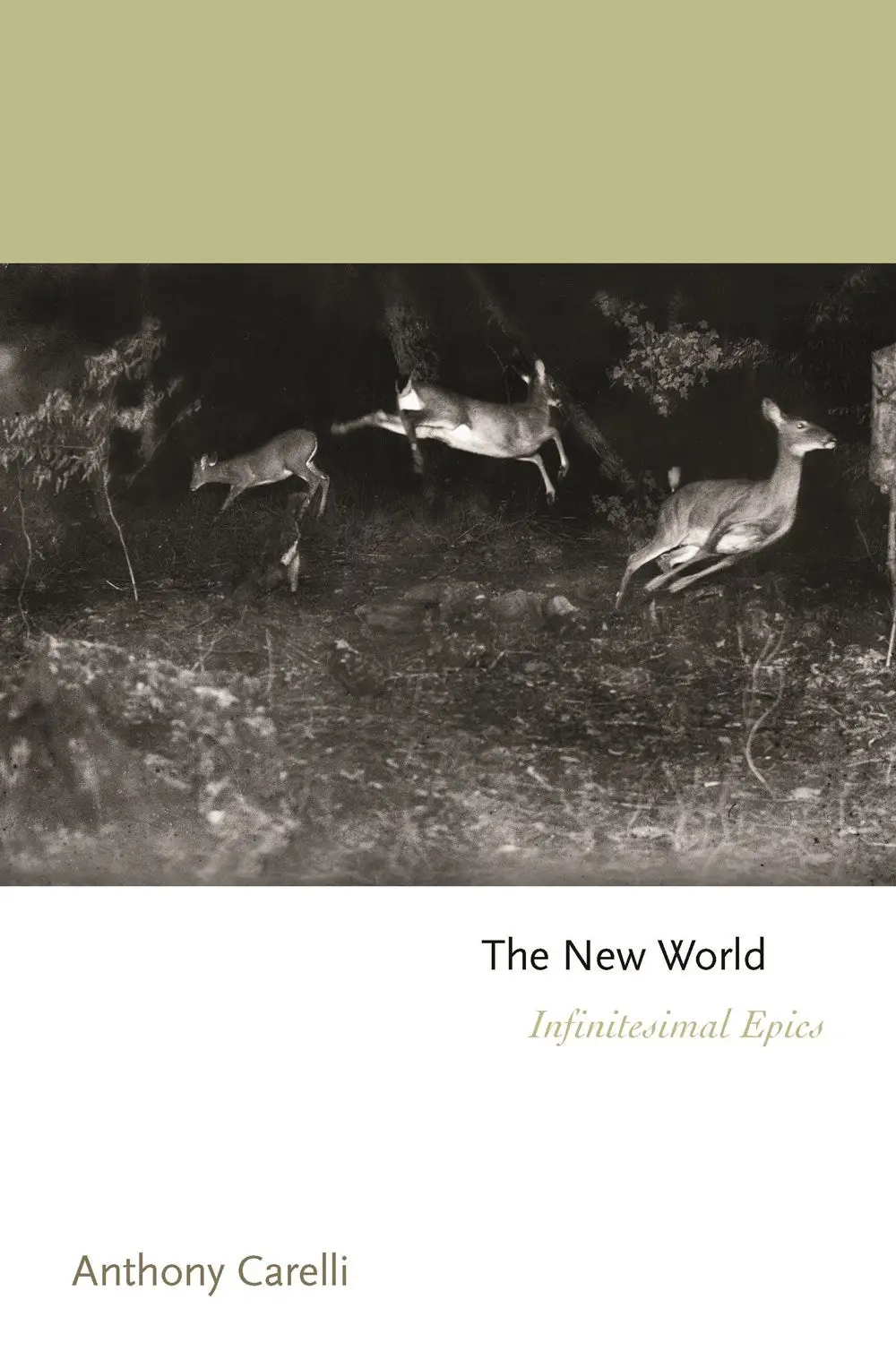 Carelli, Anthony: The New World: Infinitesimal Epics 1