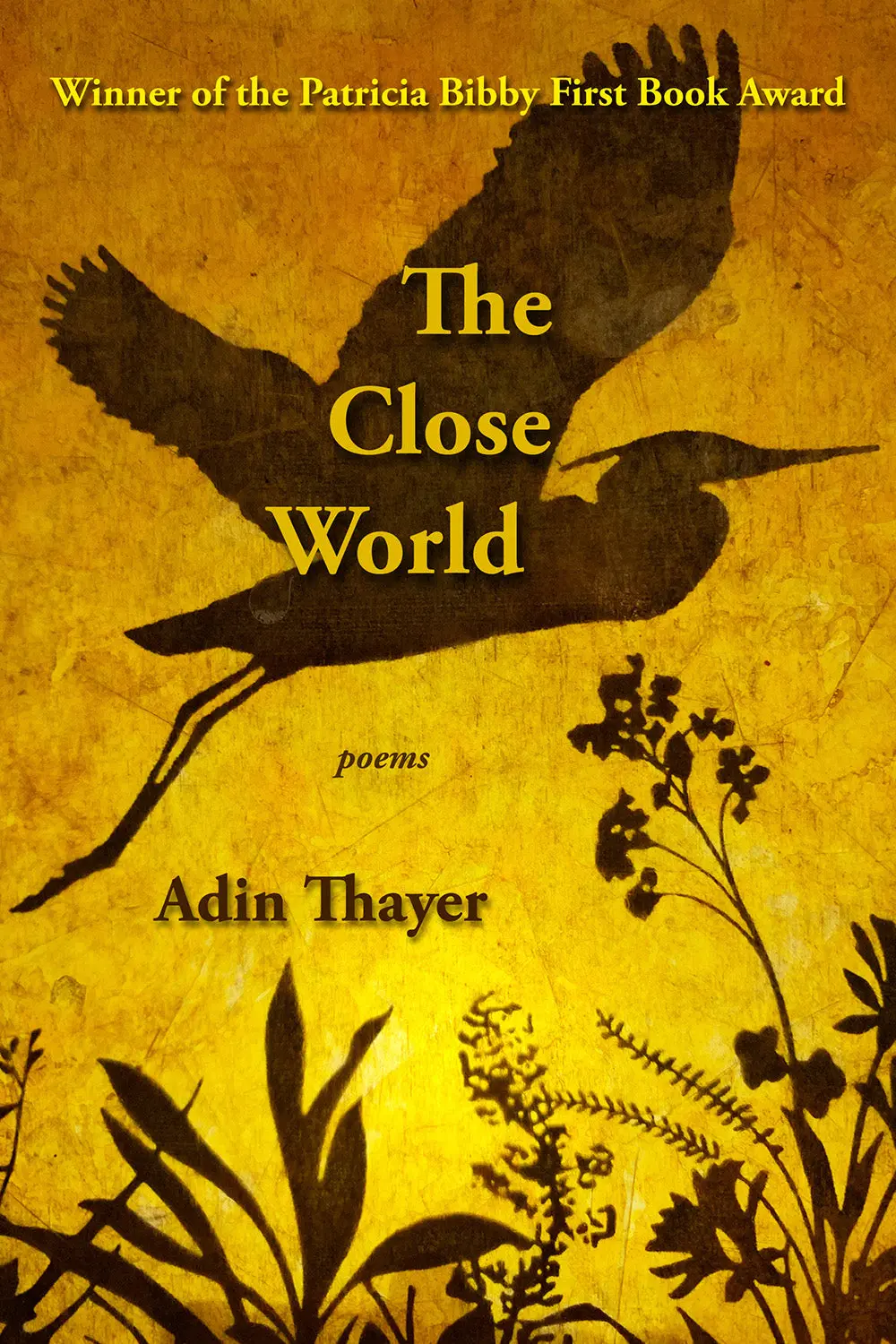 Thayer, Adin: The Close World 1