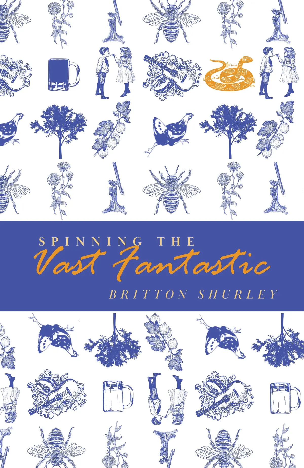 Shurley, Britton: Spinning The Vast Fantastic 1