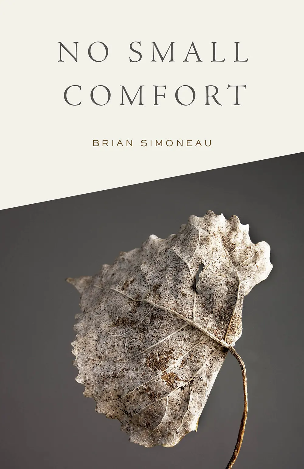 Simoneau, Brian: No Small Comfort 1