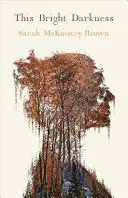 Mckinstry-Brown, Sarah: This Bright Darkness 1