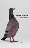 Seldess, Jesse: Several Rotations 1