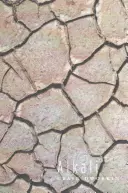 Dworkin, Craig: Alkali 1