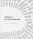 Bagdanov, Kristin George: Fossils In The Making 1