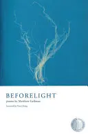Gellman, Matthew: Beforelight 1