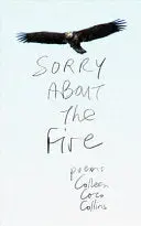 Collins, Colleen Coco: Sorry About The Fire 1