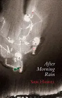 Hamill, Sam: After Morning Rain 1