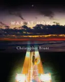 Brunt, Christopher: War At Home 1