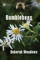Meadows, Deborah: Bumblebees 1