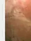 Carr, Julie: 100 Notes On Violence 1