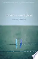 Dingman, Chelsea: Through A Small Ghost 1