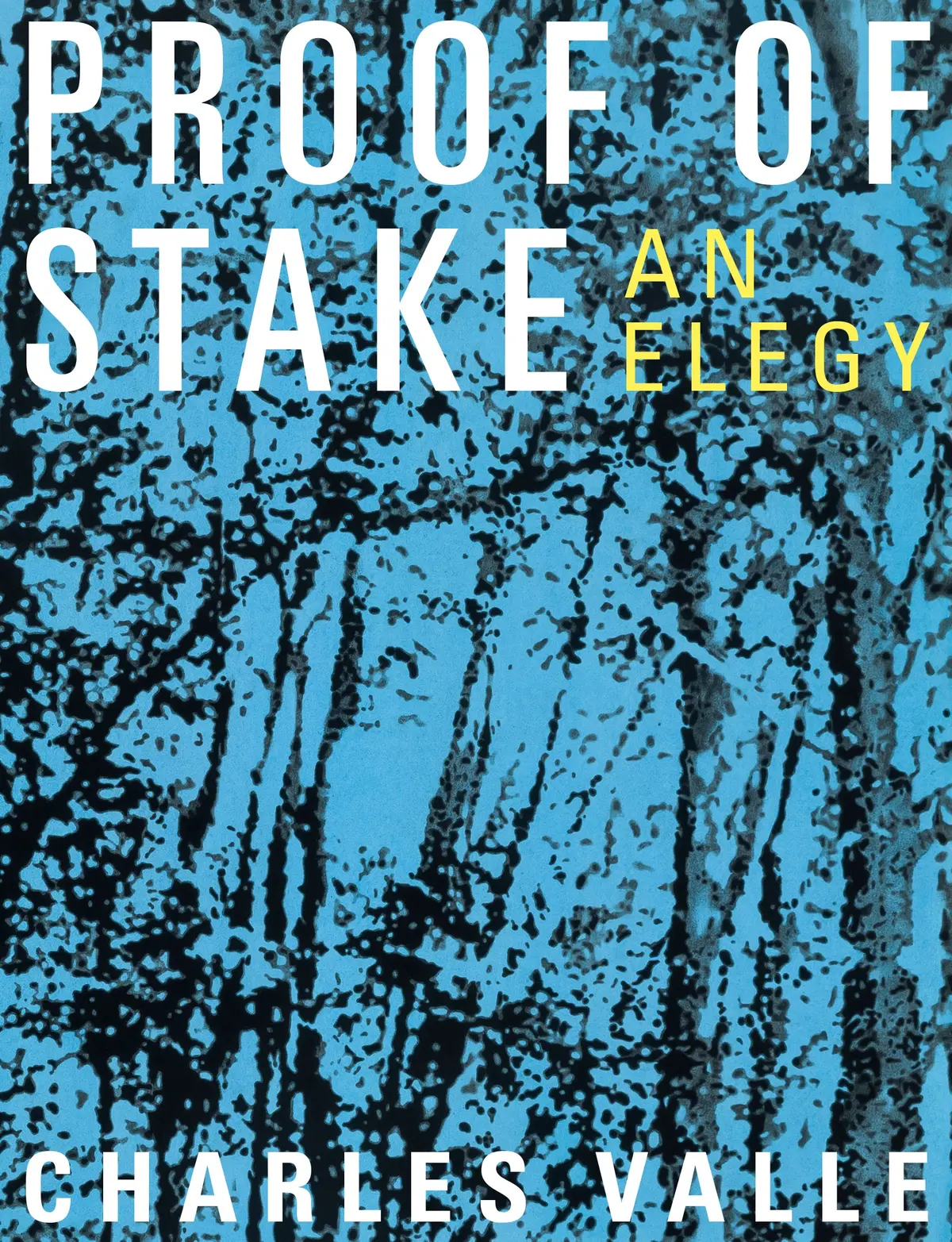 Valle, Charles: Proof Of Stake: An Elegy 1