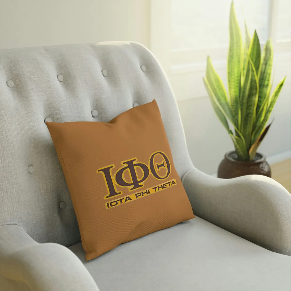 Iota Phi Theta Cushion 1