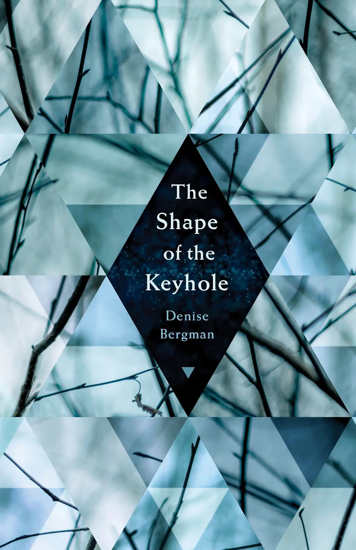 Bergman, Denise: The Shape Of The Keyhole 1