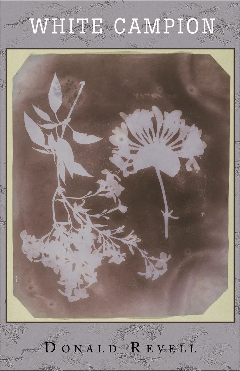 Revell, Donald: White Campion 1
