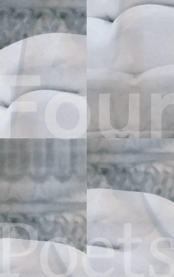 Zawacki, Andrew; Joshua Marie Wilkinson; Brett Fletcher Lauer; & Brenda Hillman: Four Poets [Used Paperback] 1