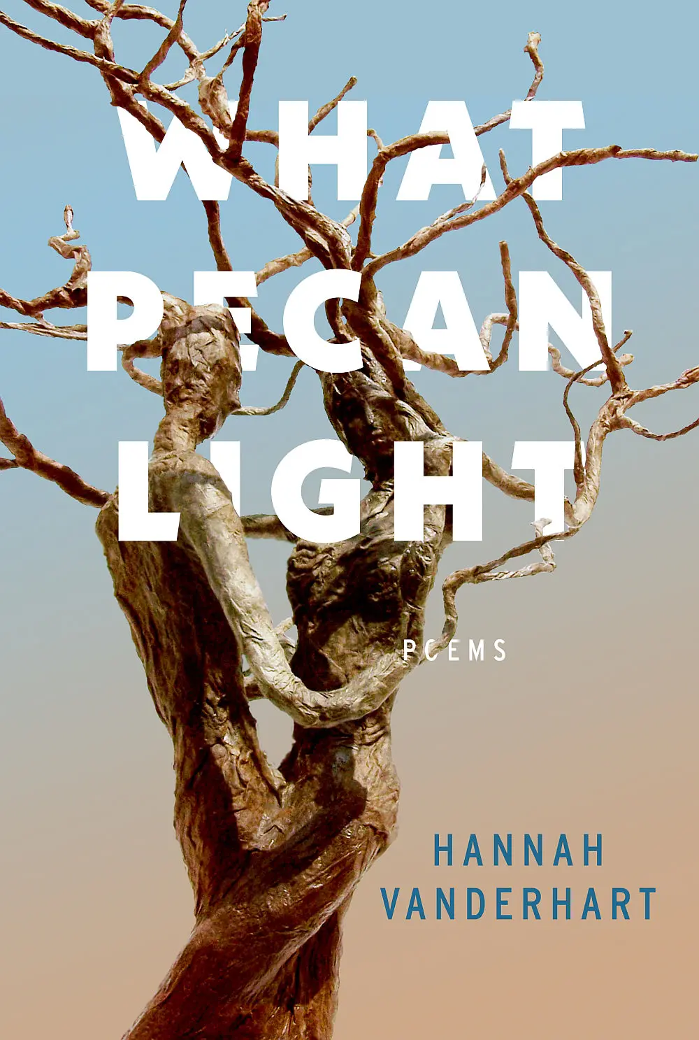 Vanderhart, Hannah: What Pecan Light 1
