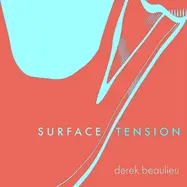 Beaulieu, Derek: Surface Tension 1