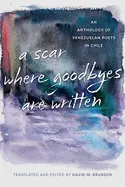 Brunson, David M.: Scar Where Goodbyes Are Written 1