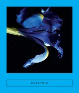 Coolidge, Sarah (Ed.): Elektriks: Caribbeann Writing 1