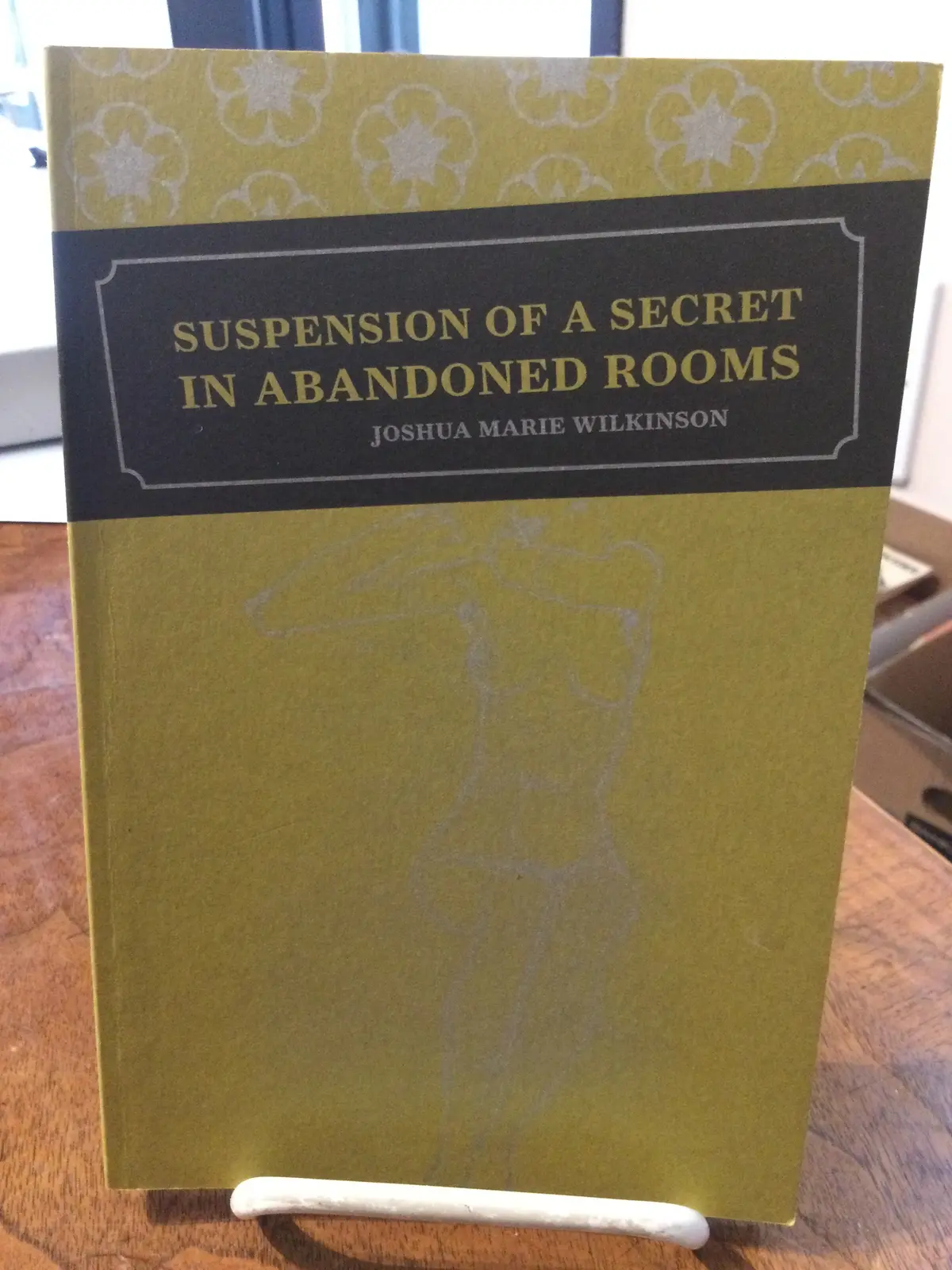 [Rare] Wilkinson, Joshua Marie: Suspension Of A Secret In Abandoned Rooms [Used Paperback] 1