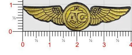 Naval/Marine Air Crew Wings 1