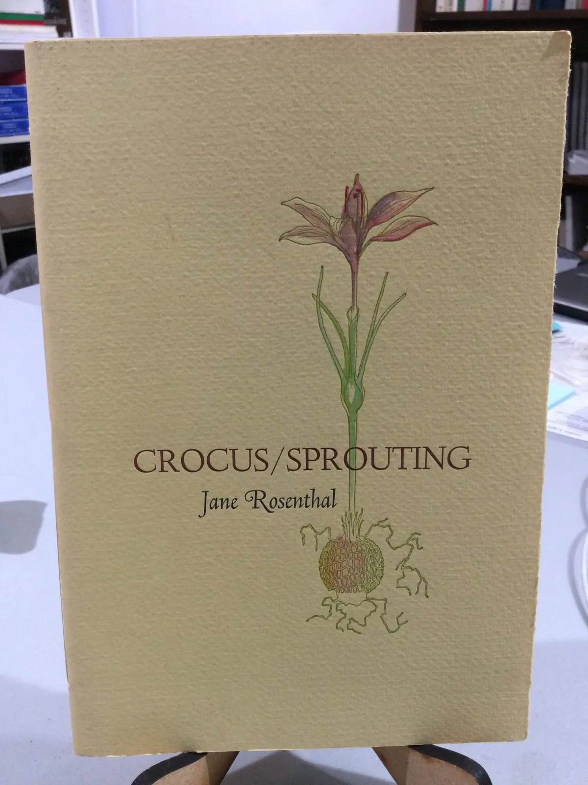 [Rare] Rosenthal, Jane: Crocus/Sprouting [Used Paperback] 1