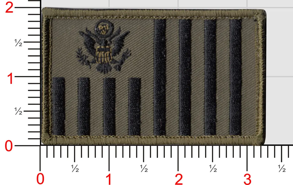 Us Customs Ensign (Small 2 X 3.5") Patch (Cbp Ensign) 10