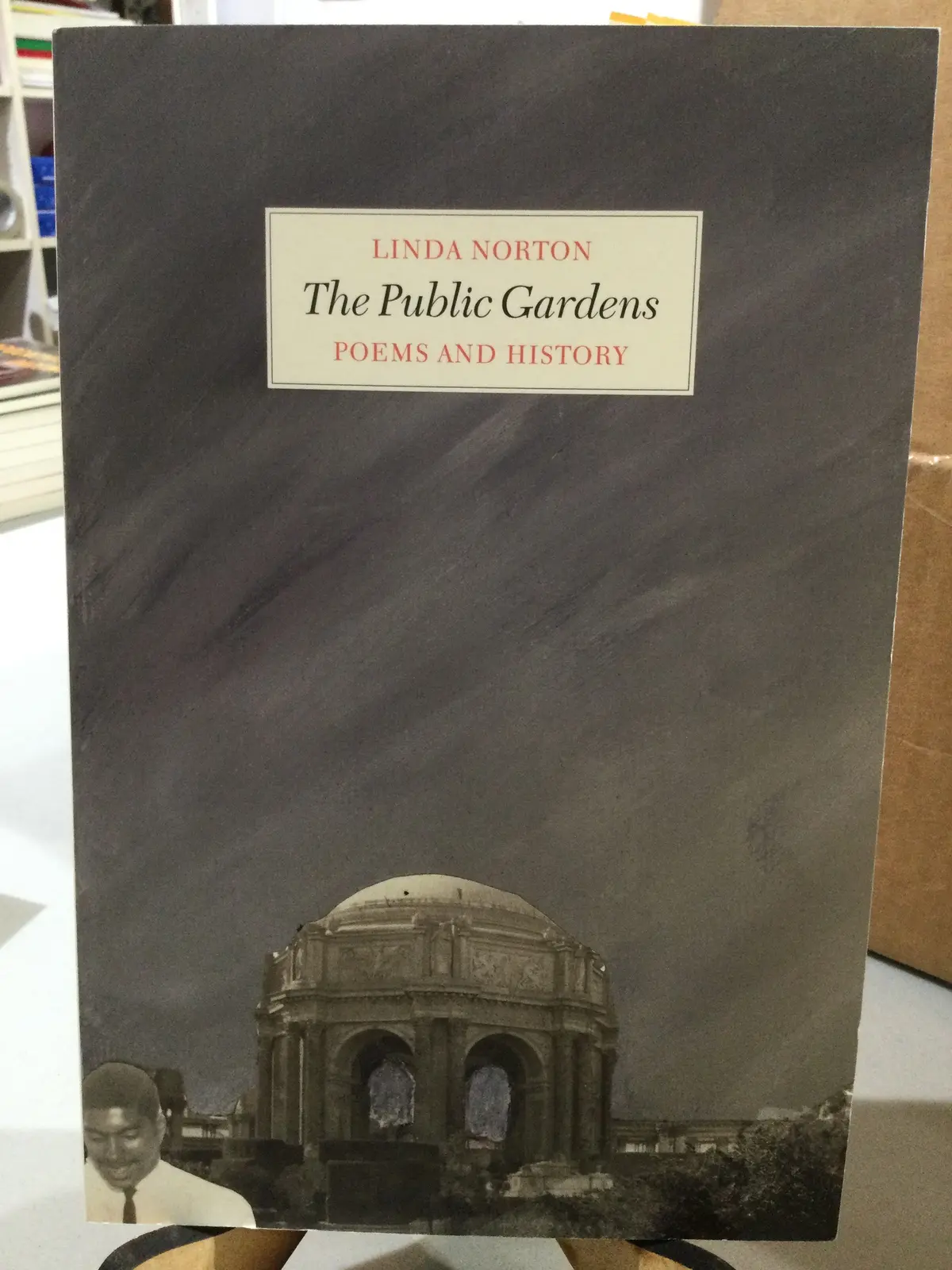 [Rare] Norton, Linda: The Public Gardens [Used Paperback] 1