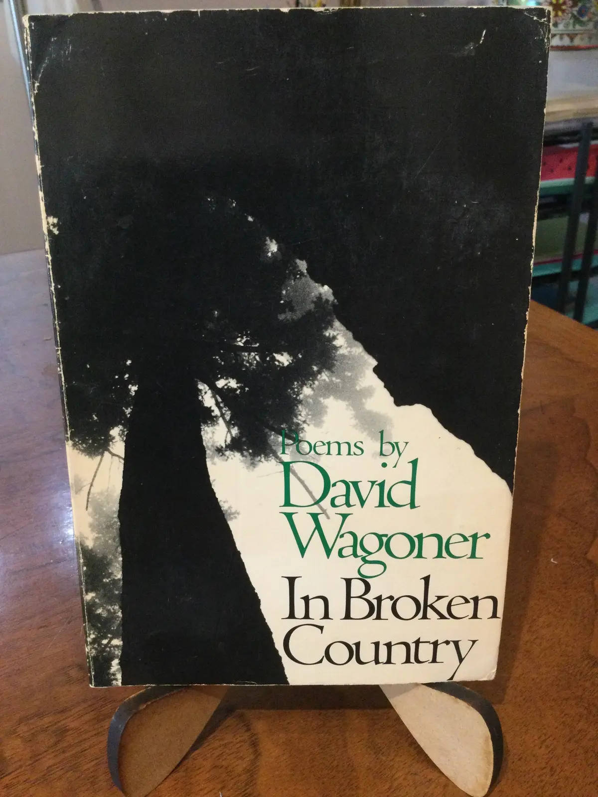Wagoner, David: In Broken Country [Used Paperback] 1