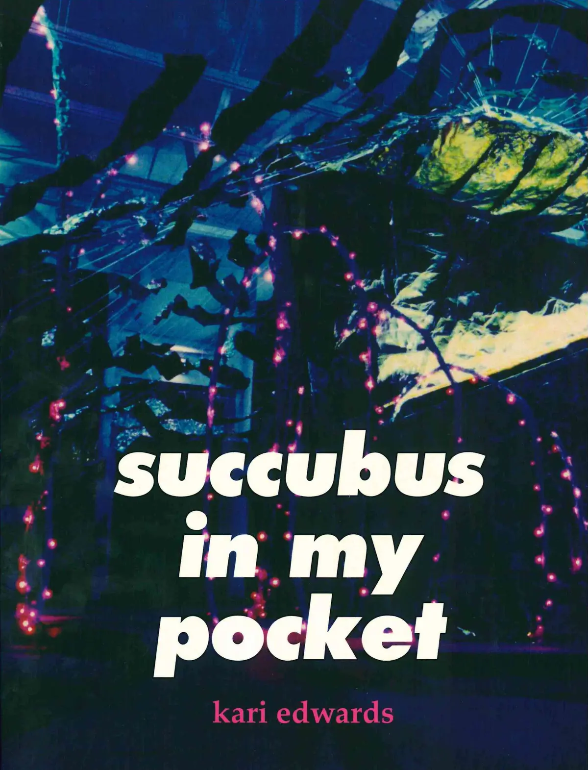 Edwards, Kari: Succubus In My Pocket 1