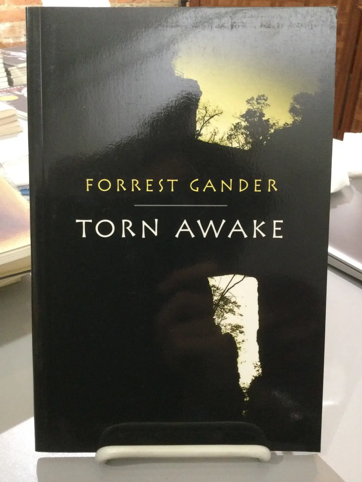 Gander, Forrest: Torn Awake [Used Paperback] 1