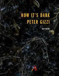 Gizzi, Peter: Now It's Dark (Hb) 1