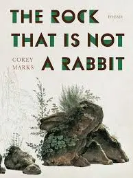 Marks, Corey: The Rock That Is Not A Rabbit 1
