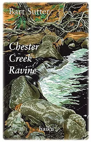Sutter, Bart: Chester Creek Ravine 1