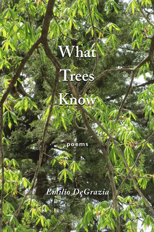 Degrazia, Emilio: What Trees Know 1