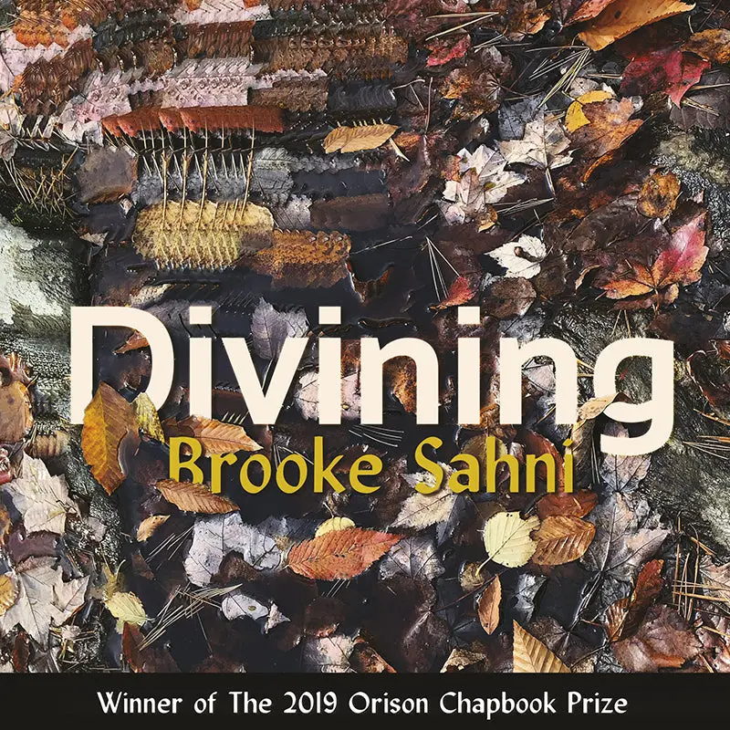 Sahni, Brooke: Divining 1