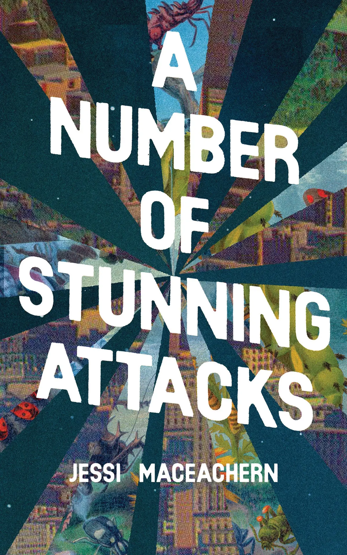Maceachern, Jessi: A Number Of Stunning Attacks 1