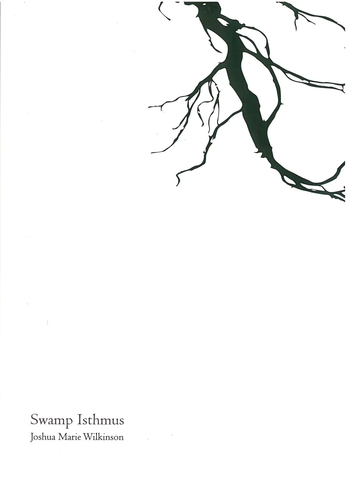 Wilkinson, Joshua Marie: Swamp Isthmus 1