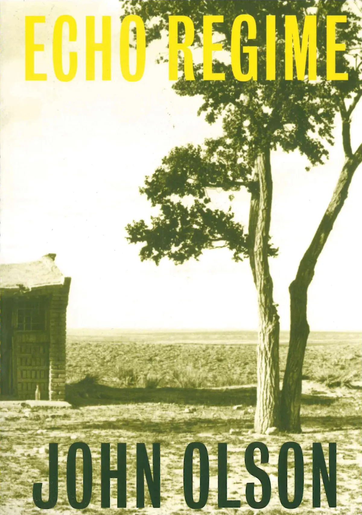 Olson, John: Echo Regime [Used Paperback] 1