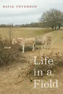 Peterson, Katie: Life In A Field 1