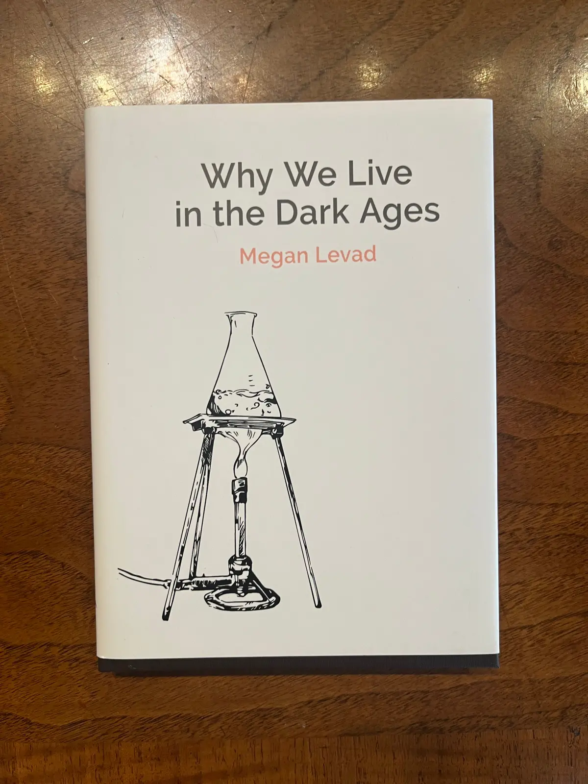 Levad, Megan: Why We Live In The Dark Ages [Used Hardcover] 1