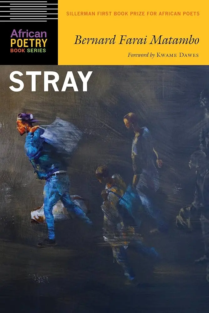 Matambo, Bernard Farai: Stray 1