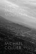 Collier, Michael: The Missing Mountain: New And Selected Poems 1