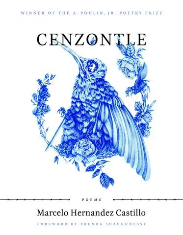 Hernandez Castillo, Marcelo: Cenzontle 1