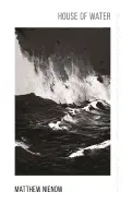 Nienow, Matthew: House Of Water 1
