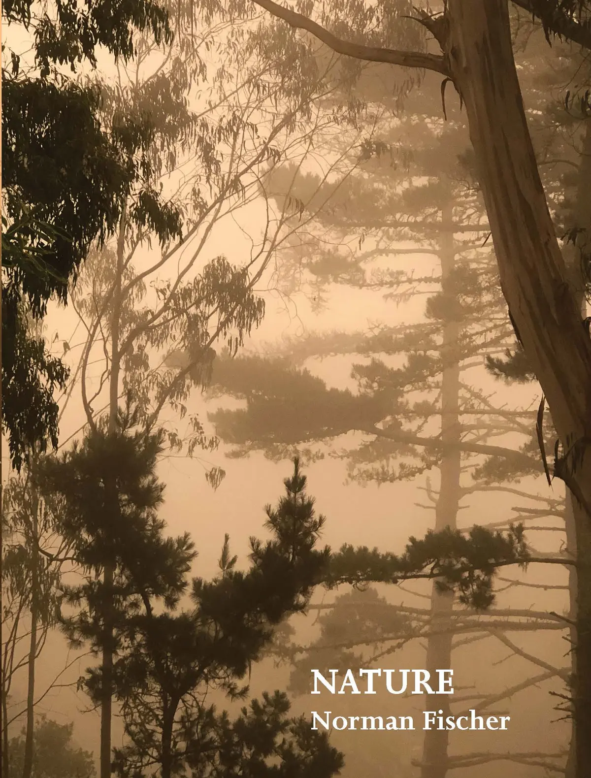 Fischer, Norman: Nature 1