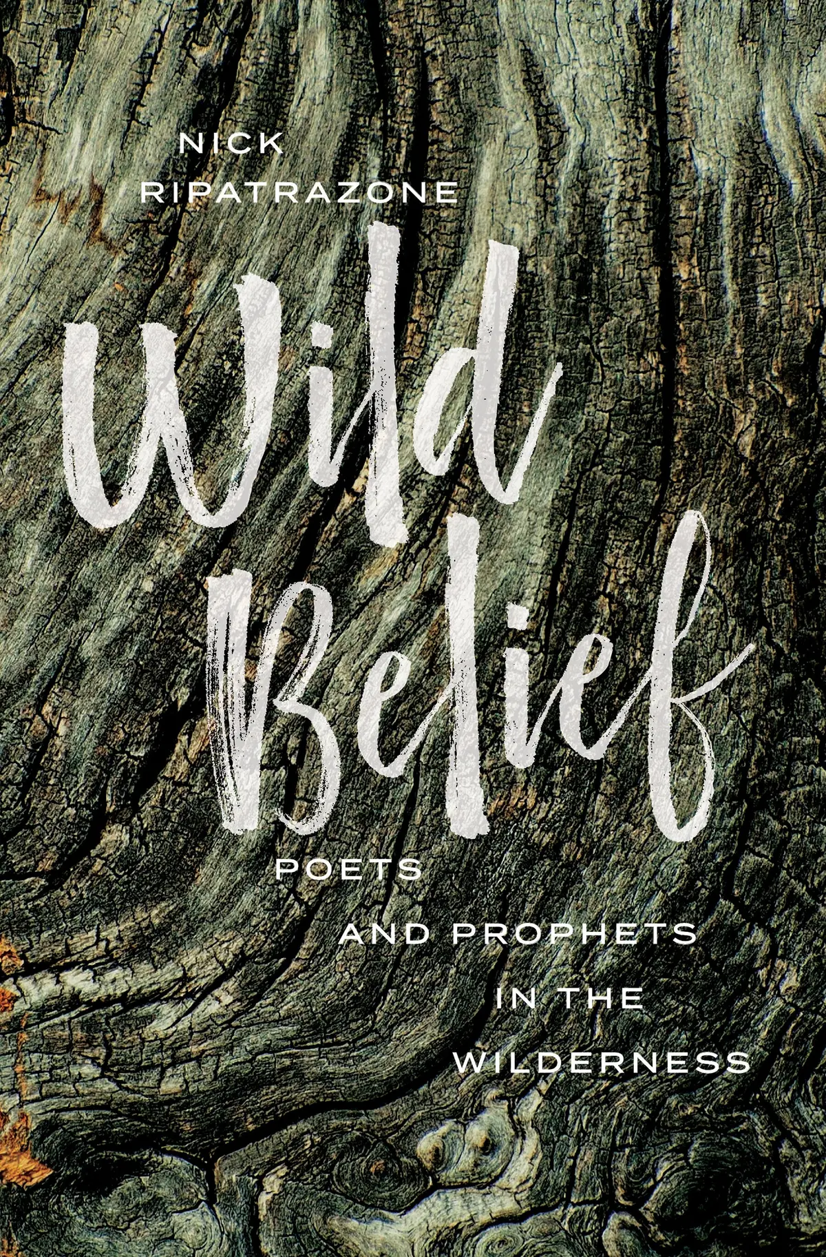Ripatrazone, Nick: Wild Belief: Poets And Prophets In The Wilderness 1