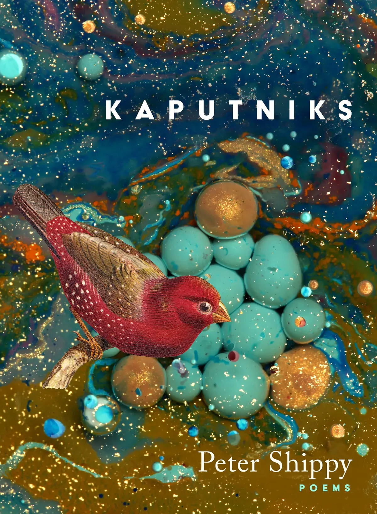 Shippy, Peter Jay: Kaputniks 1